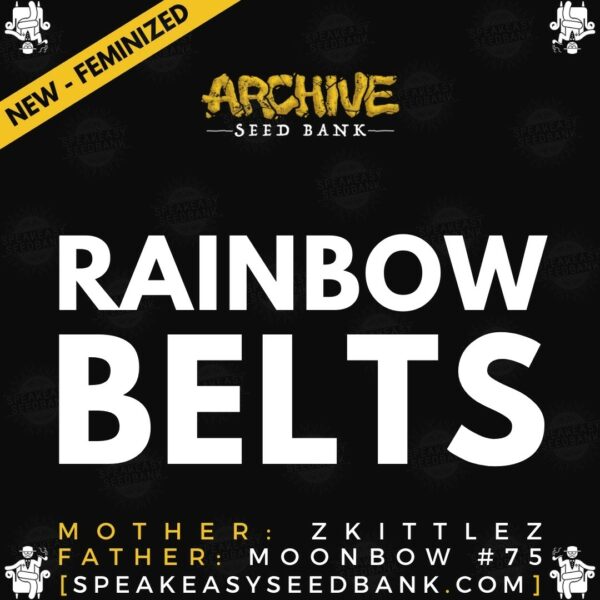 Speakeasy presents Rainbow Belts by Archive Seed Bank