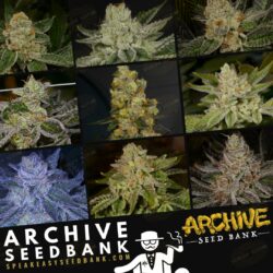 Speakeasy Seed Bank presents Archive Seed Bank