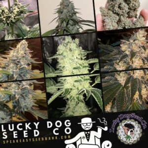 Lucky Dog Seed Co by Skunk VA