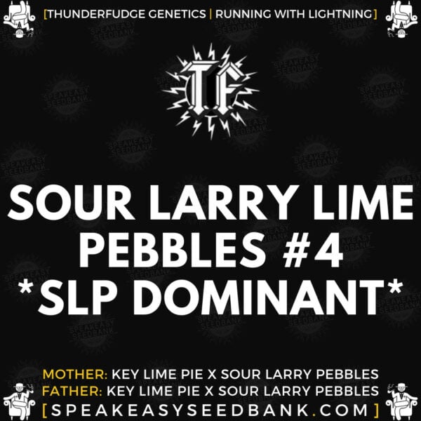 Speakeasy presents Sour Larry Lime Pebbles #4