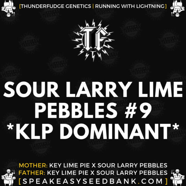 Speakeasy presents Sour Larry Lime Pebbles no.9