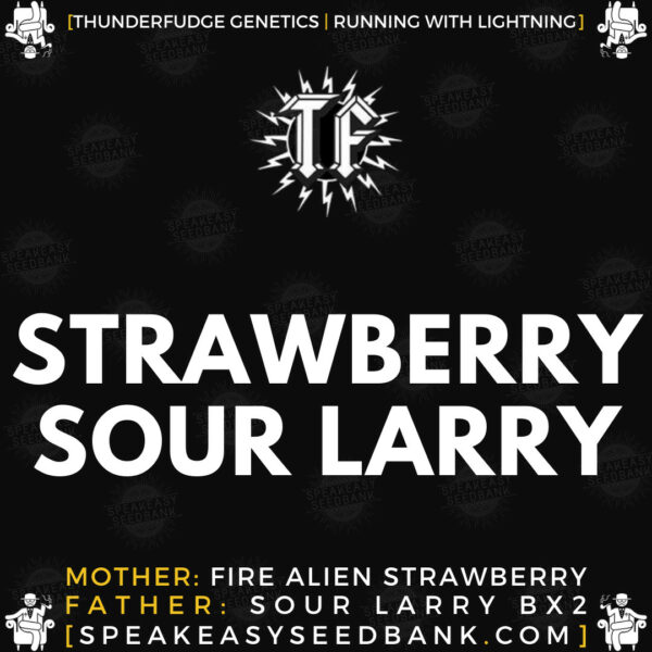 Speakeasy presents Strawberry Sour Larry