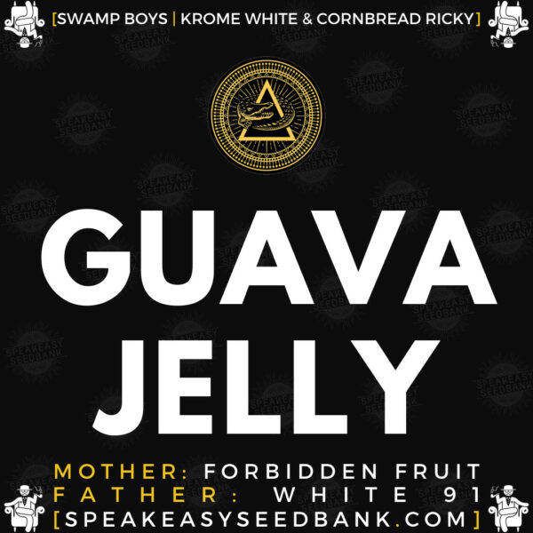 Speakeasy presents Guava Jelly