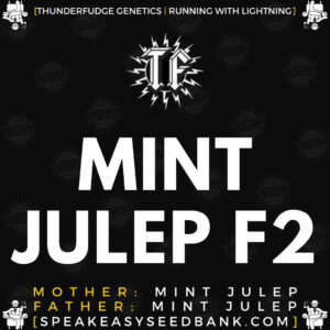 Speakeasy presents Mint Julep F2