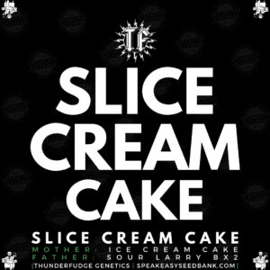 Speakeasy presents Slice Cream Cake