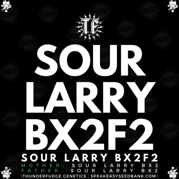 Speakeasy presents Sour Larry BX2F2