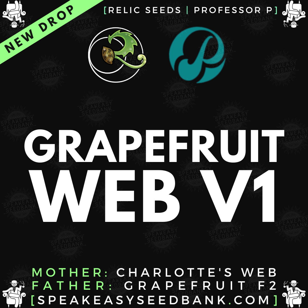 Speakeasy presents Grapefruit Web V1 by Relic Seeds