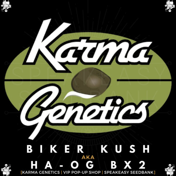 Karma Genetics - Biker Kush aka HA OG Bx2 - Seeds Available At Speakeasy Seedbank