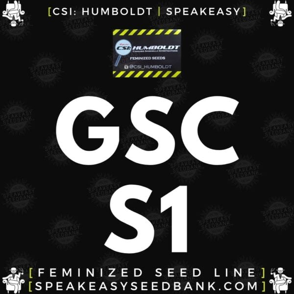 Speakeasy presents GSC S1 by CSI Humboldt