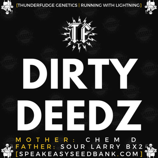 Speakeasy presents Dirty Deedz