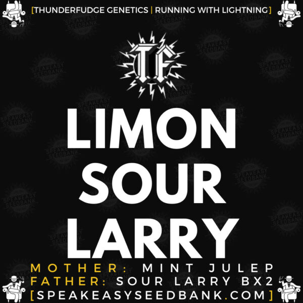 Speakeasy presents Sour Limon Larry