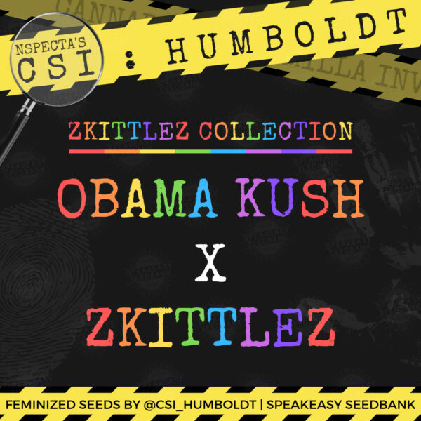 CSI Humboldt - Obama Kush x Zkittlez - Seeds Available At Speakeasy Seedbank