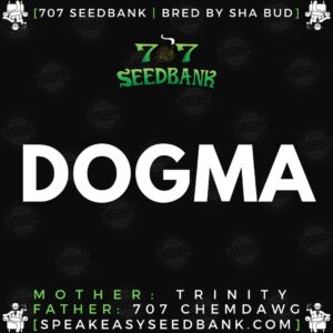 707 Seedbank presents Dogma