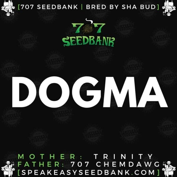 707 Seedbank presents Dogma