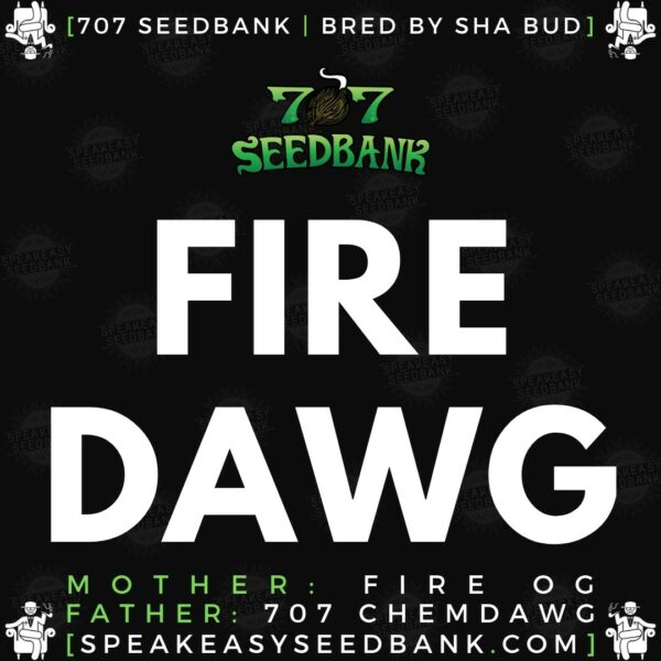 Speakeasy presents Fire Dawg