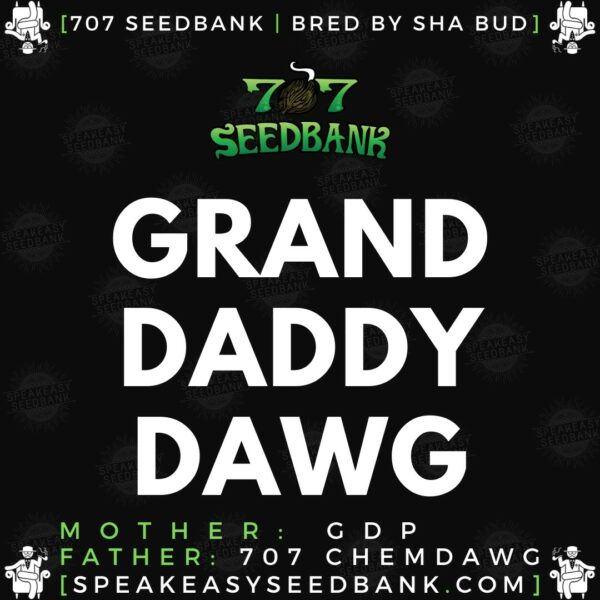 Speakeasy presents Granddaddy Dawg