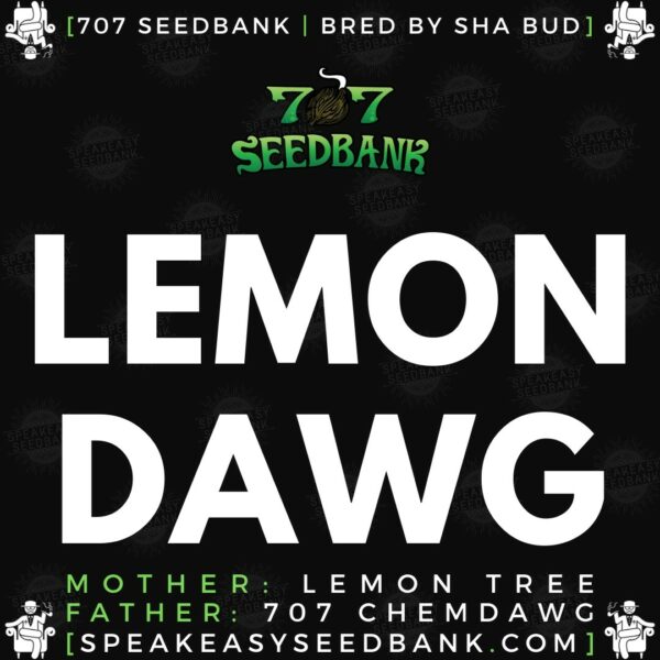 Speakeasy presents Lemon Dawg