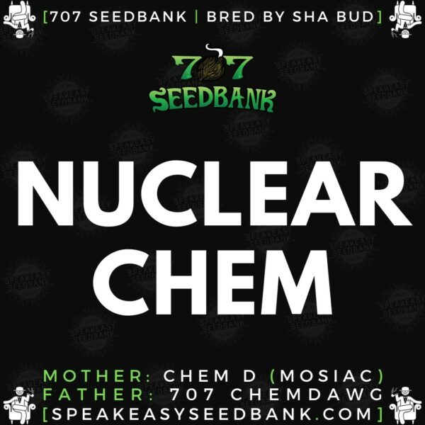 Speakeasy presents Nuclear Chem