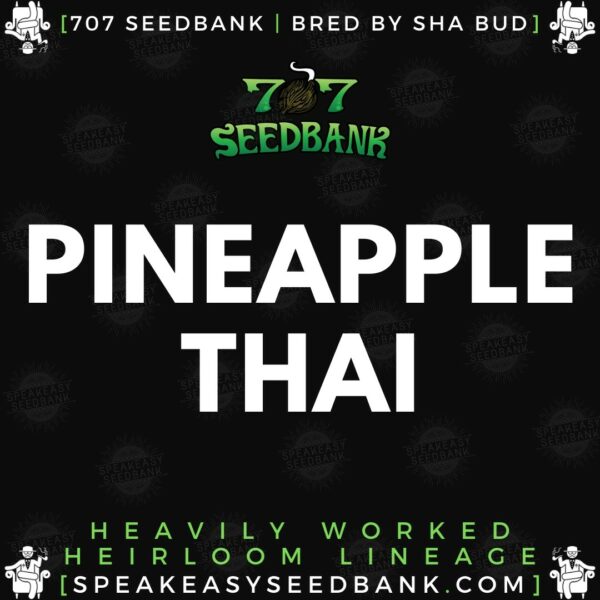 Speakeasy presents Pineapple Thai