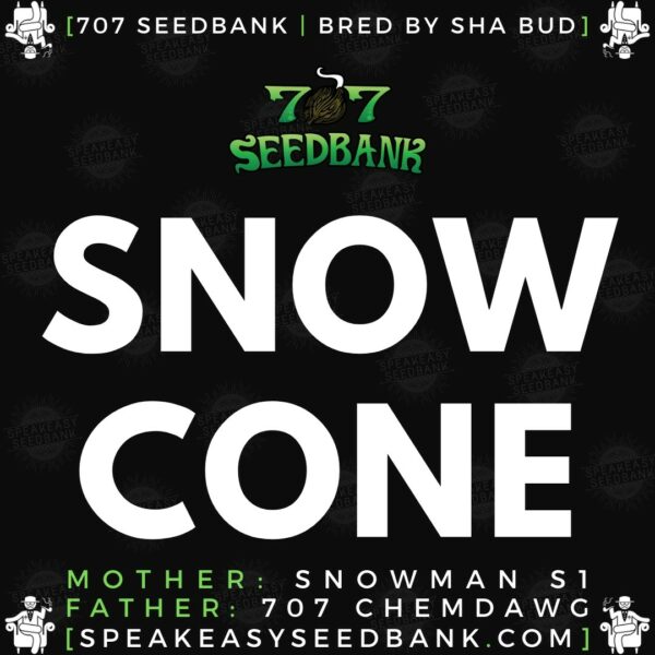 Speakeasy presents Snow Cone