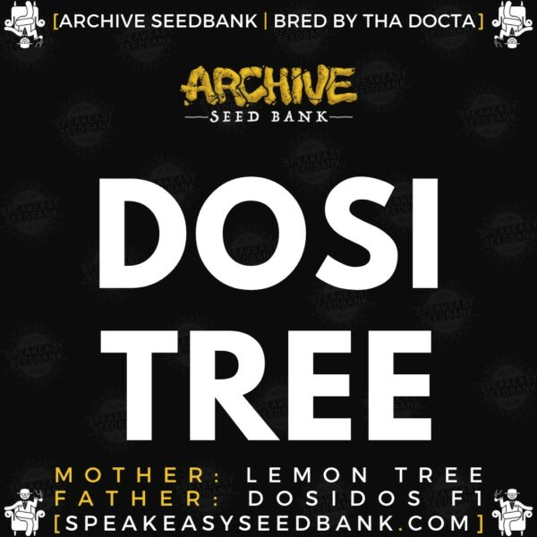 Archive Seedbank - Dosi Tree - Buy At Speakeasy Seedbank