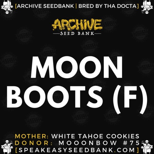 Archive Seedbank - Moon Boots - Buy At Speakeasy Seedbank