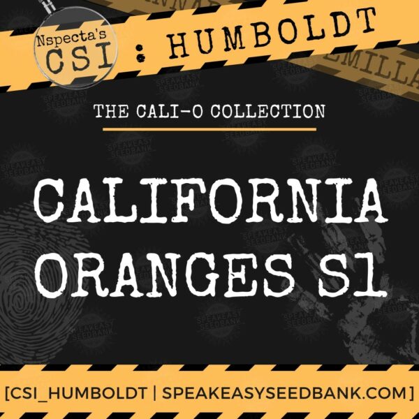 Speakeasy presents California Oranges S1