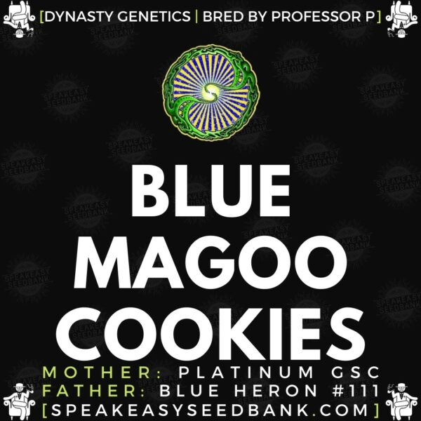 Speakeasy presents Blue Magoo Cookies