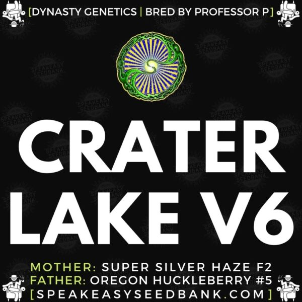 Speakeasy presents Crater Lake V6