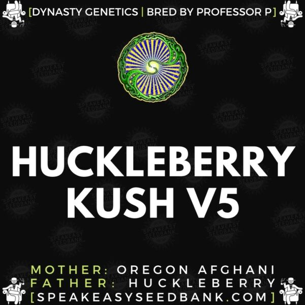 Dynasty presents Huckleberry Kush V5