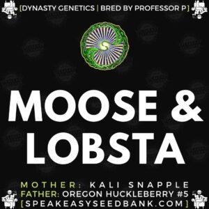Speakeasy presents Moose and Lobsta V2