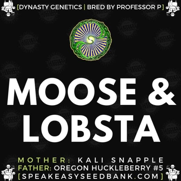 Speakeasy presents Moose and Lobsta V2