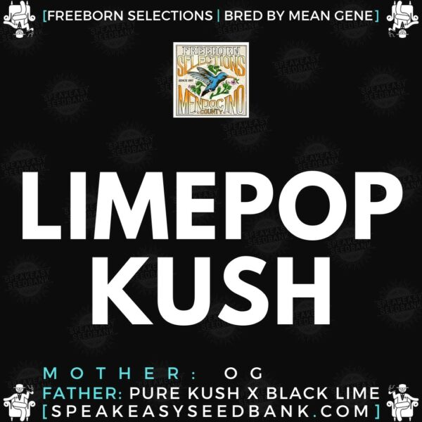 Speakeasy presents Limepop Kush