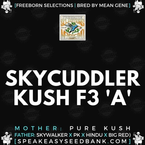Speakeasy presents Skycuddler Kush F3 A