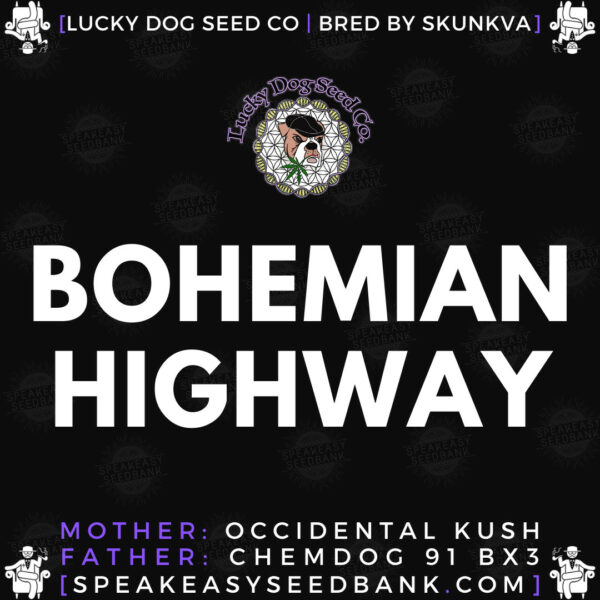 Speakeasy presents Bohemian Highway