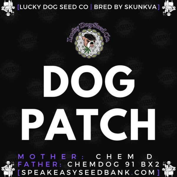 Speakeasy presents Dog Patch
