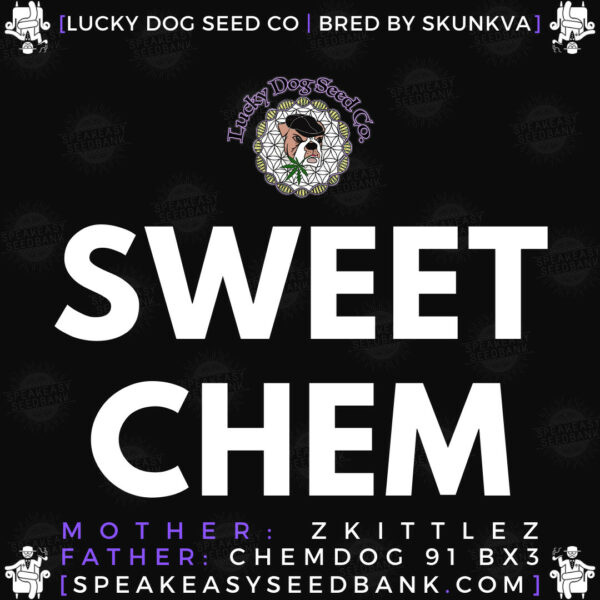 Speakeasy presents Sweet Chem