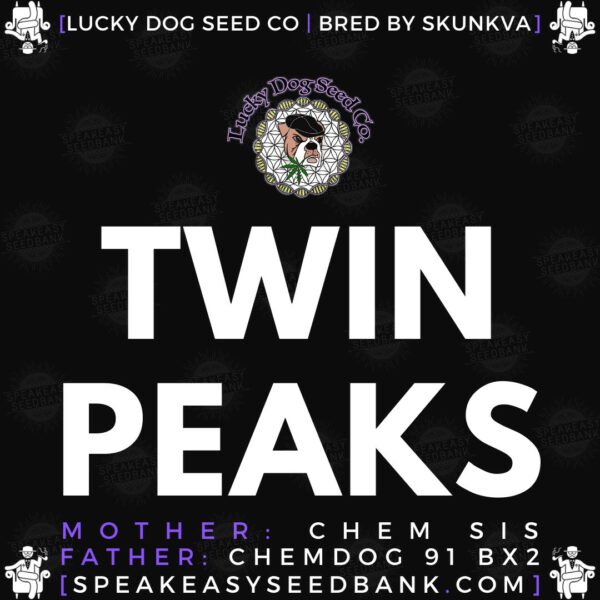 Speakeasy presents Twin Peaks