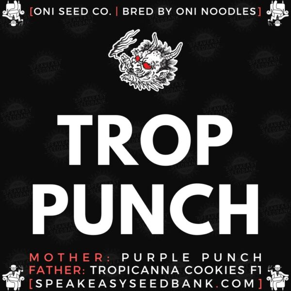 Oni Seed Co - Tropicanna Punch - Buy At Speakeasy Seedbank