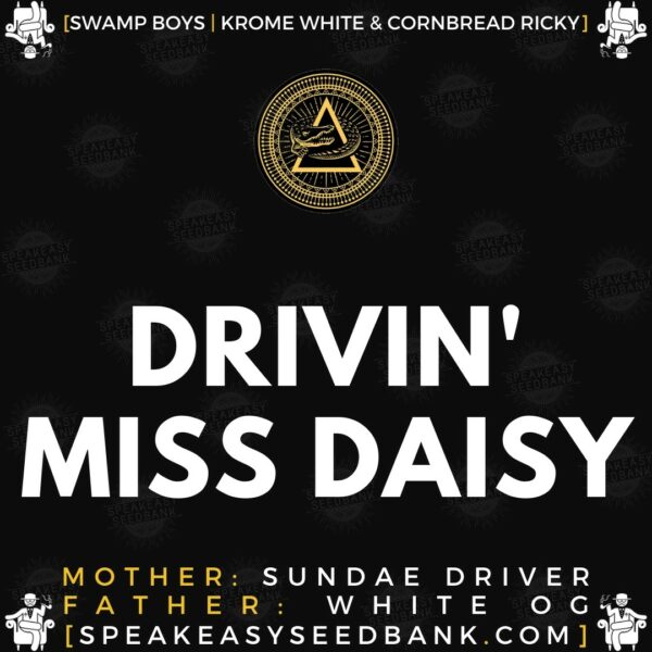 Speakeasy presents Drivin Miss Daisy