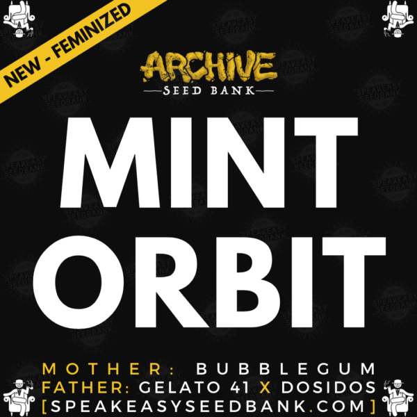 Archive Seed Bank - Mint Orbit Feminized - Speakeasy Seedbank
