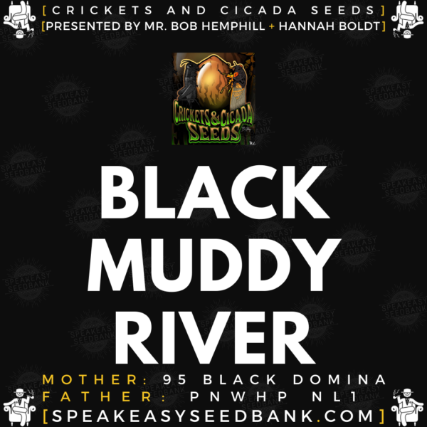 Speakeasy presents Black Muddy River