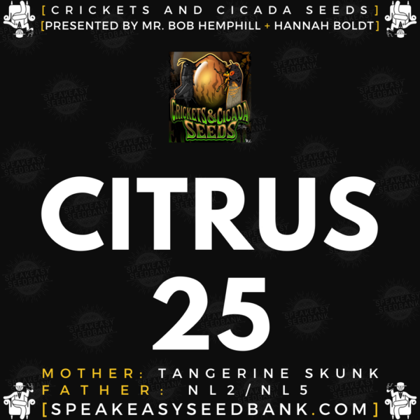Speakeasy presents Citrus 25