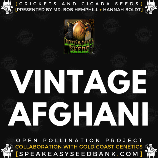 Speakeasy presents Vintage Afghani