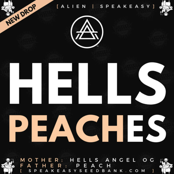 Speakeasy presents Hells Peaches