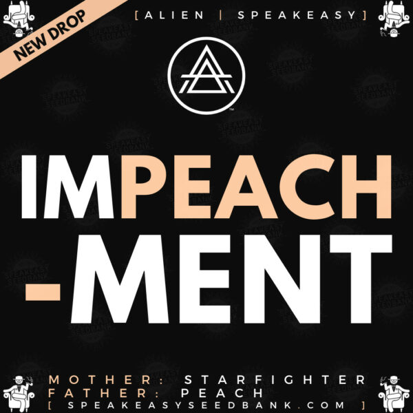 Speakeasy presents Impeachment