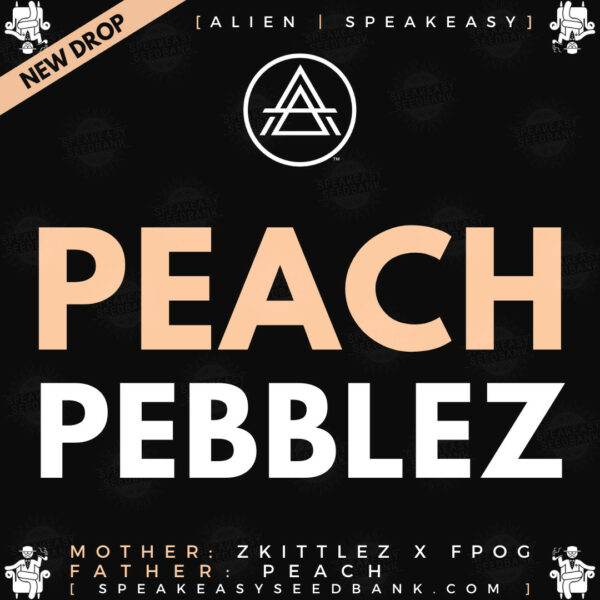 Speakeasy presents Peach Pebblez