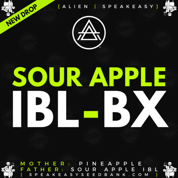 Speakeasy presents Sour Apple IBL