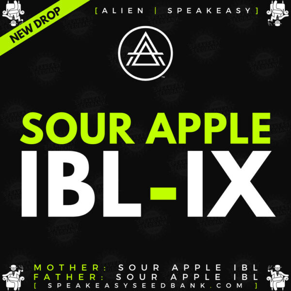 Speakeasy presents Sour Apple IBL-IX