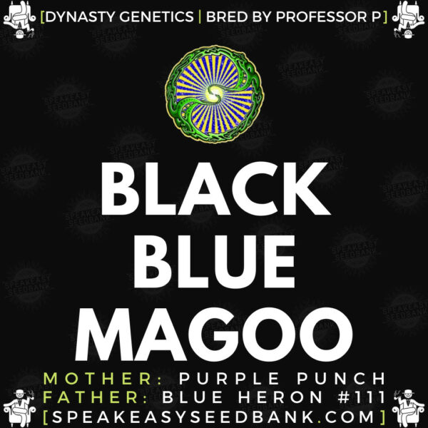 Speakeasy presents Black Blue Magoo